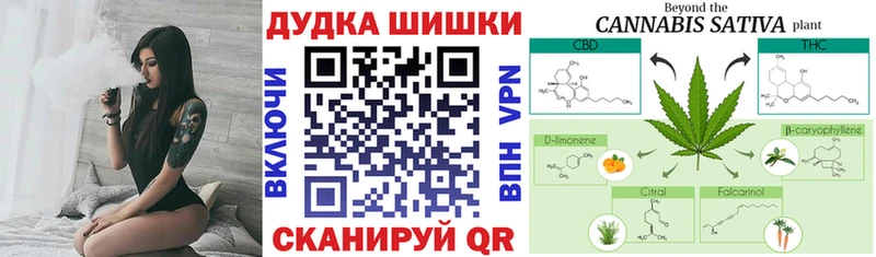 A-PVP Сегежа