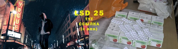 мяу мяу мука Баксан