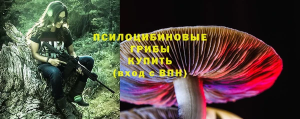 мяу мяу мука Баксан