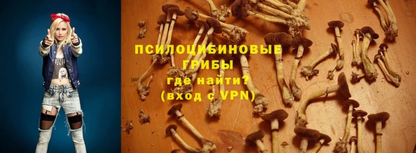 СК Балахна