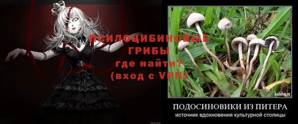 СК Балабаново