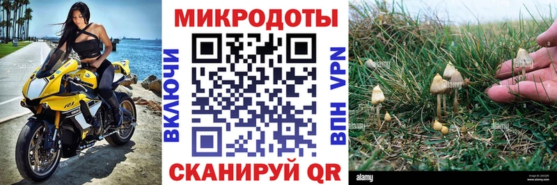 нарко площадка официальный сайт  mega рабочий сайт  Сегежа  Псилоцибиновые грибы мицелий 